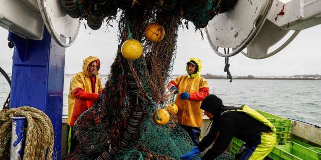 Licences de pêche post-Brexit : Londres va convoquer l’ambassadrice de France