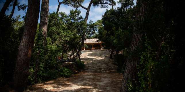 Au Cap-Ferret, petit paradis pour résidences secondaires de luxe, la flambée immobilière contre vents et marées