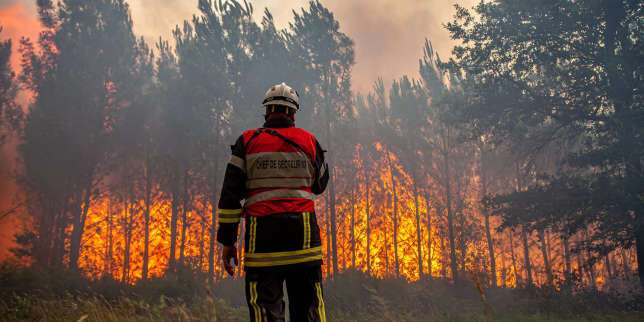 Incendies en Gironde : plus de 10 000 hectares ravagés, les feux toujours pas maîtrisés