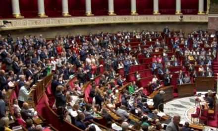 Assemblée nationale : les réseaux sociaux, l’autre terrain de jeu des députés