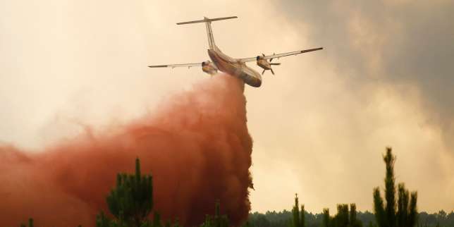 Incendies en Gironde : reprise du feu de Landiras, 6 200 hectares brûlés, 10 000 personnes évacuées