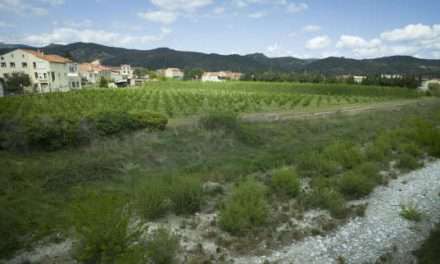 Sécheresse : plus une goutte d’eau au robinet, le scénario qui inquiète les Pyrénées-Orientales