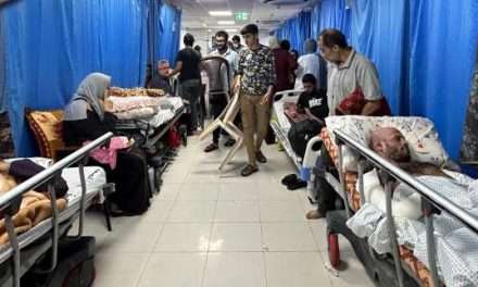 En direct, guerre Israël-Hamas : l’armée israélienne annonce mener « une opération précise et ciblée contre le Hamas dans une zone spécifique de l’hôpital Al-Shifa »